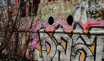 Pchacz łoś-k17