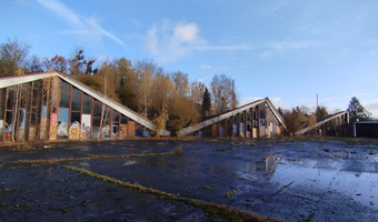 Hala targowa na skraju parku Śląskiego