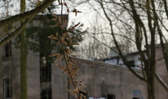 Tor wyścigów konnych, Łódź