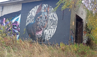 Ruiny i stary magazyn,