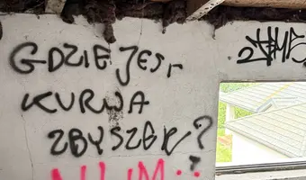 Opuszczony dom - zdjęcie 3/4