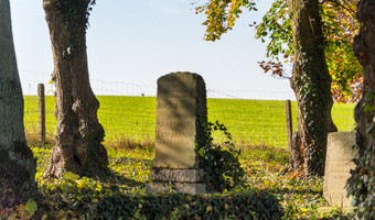 Cmentarz Ewangelicki - Żabno.,