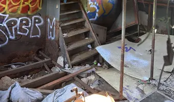 Pchacz łoś-k17 - zdjęcie 3/4