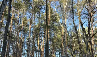 Stanowisko ogniowe nr. 2 baterii im. h. laskowskiego - zdjęcie 4/4