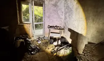 Mocno zarośnięty dom przy drodze