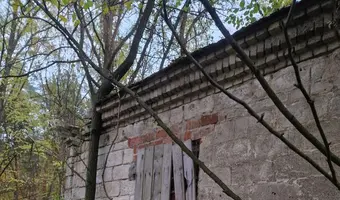 Stary dom w środku lasu