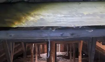 Opuszczona stajnia, Gorzyce