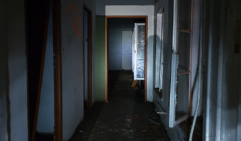 Fabryka i hale szedowe,