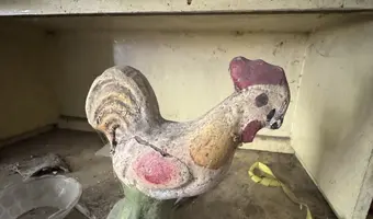 Opuszczone gospodarstwo - zdjęcie 2/4