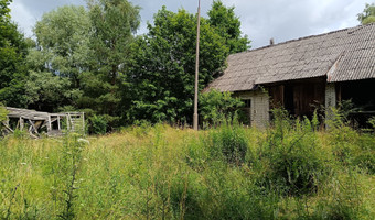 Oouszczone schronisko