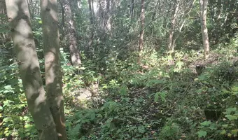 Ruiny dawnego basenu zewnętrznego
