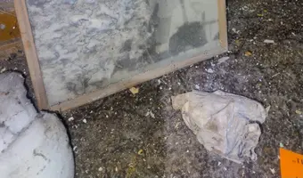 Opuszczona kamienica