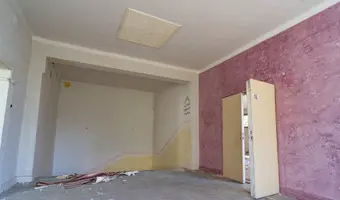 Złota Sosna