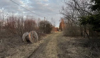 Opuszczony dom - zdjęcie 4/4