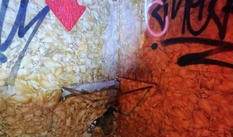 Fabryka ludwika domanowicza