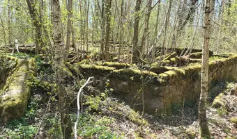 Opuszczona leśniczówka