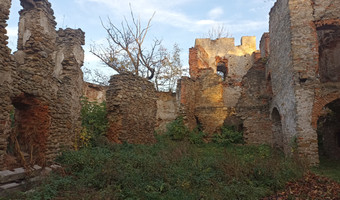 Ruiny Zamku w Pankowie,