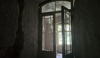 Pałac z  XIX-wieku., Dreżewo