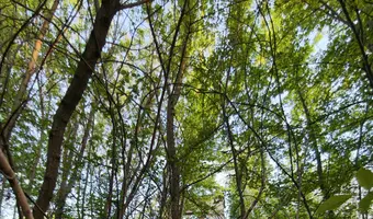 Budynek - photo 4/4