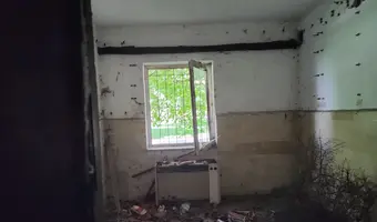 INSTYTUT HODOWLI BYDŁA, BRWINÓW