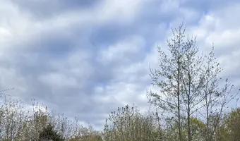 Opuszczone szklarnie - zdjęcie 2/4