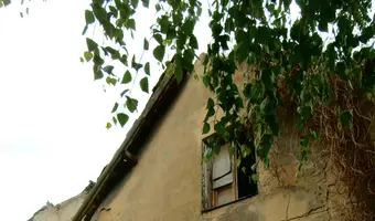 Opuszczony dom z lekko zawalonym dachem - zdjęcie 3/4