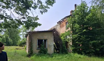 Krochmalnia, Borzymie