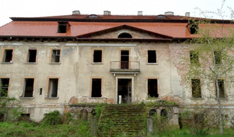 Opuszczony Pałac, Borów Wielki,