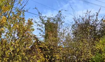 Ruina domu i szopa