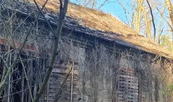Stary dom w środku lasu - zdjęcie 5/13