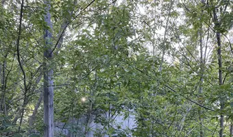 Pustostany