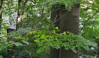 opuszczony dom
