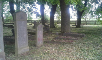 Cmentarz mennonitów (XVIII w.), Stogi Malborskie,