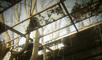 Opuszczone szklarnie