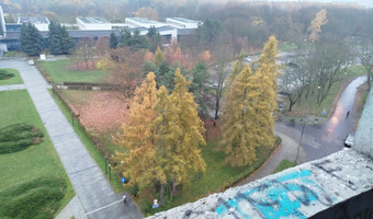 Czyżyński szkieletor