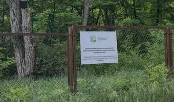 Kolonie w justynowie, justynów - zdjęcie 2/4