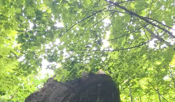 Poniemiecki bunkier