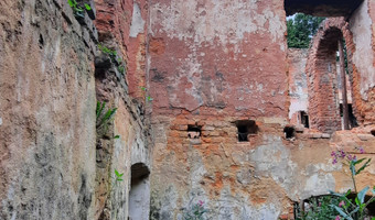 Ruiny pałacu w głębowicach