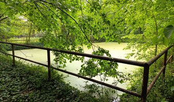 Kolonie w justynowie, justynów
