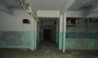 Warszawskie Zakłady Mechaniczne PZL