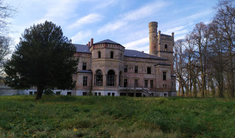 Pałac z  XIX-wieku., Dreżewo,