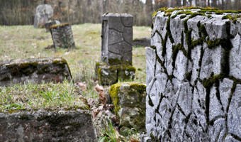 Cmentarz mennonicki w Barcicach,