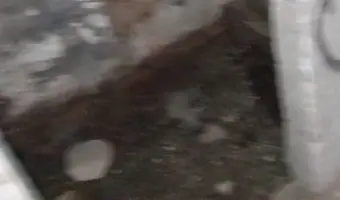 Restauracja Olimpijska