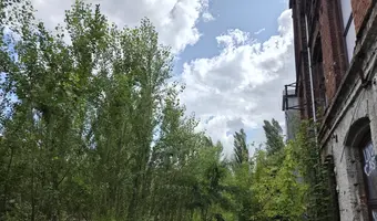 Fabryka i hale szedowe