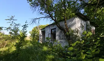 Budynki