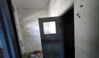 INSTYTUT HODOWLI BYDŁA, BRWINÓW