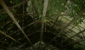 Opuszczone szklarnie (Warszawa Ursus))