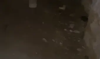 Opuszczone schronisko
