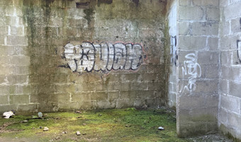 Loża Masońska / Wolnomularska,