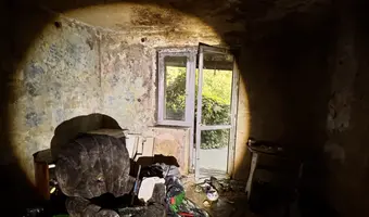 Mocno zarośnięty dom przy drodze